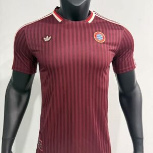 CAMISETA ICONS BAYERN MUNICH 25/26